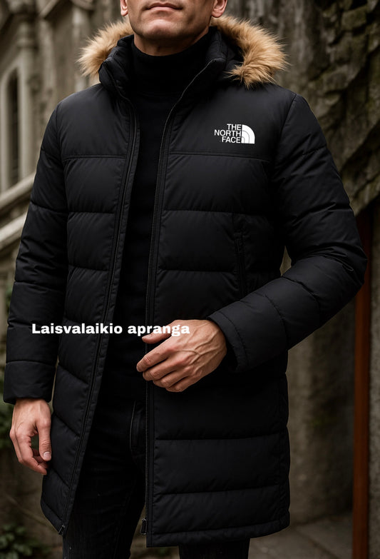 Vyriška The North Face striukė