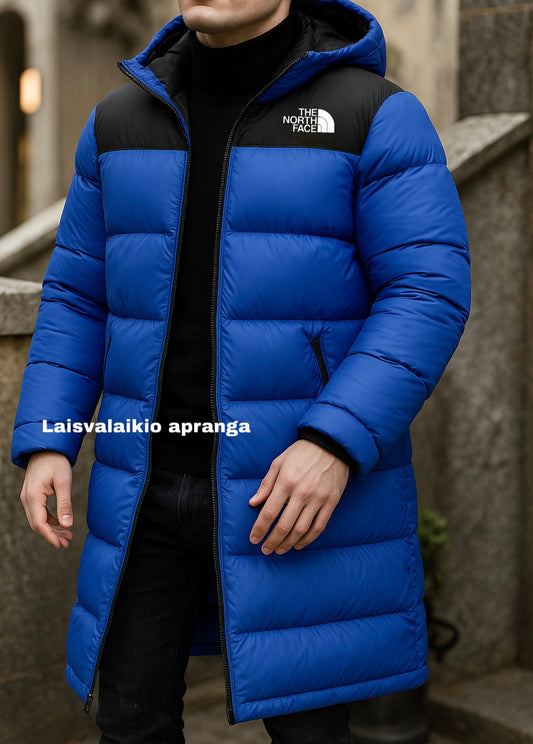 Vyriška The North Face striukė