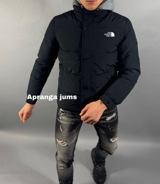 Vyriška The North Face striukė